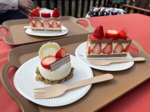 4849401082834063558.