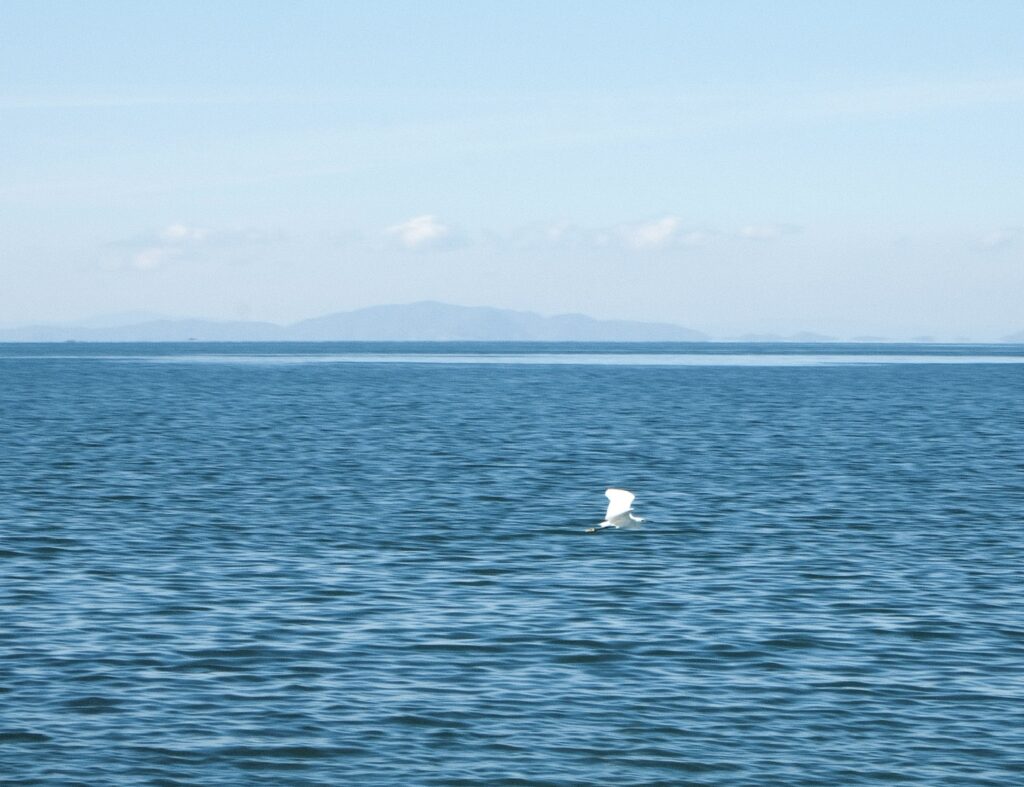 今年のGWはここで！松前町の「塩屋海岸」で広大かつ優しい景色に癒されよう！