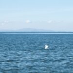 今年のGWはここで！松前町の「塩屋海岸」で広大かつ優しい景色に癒されよう！