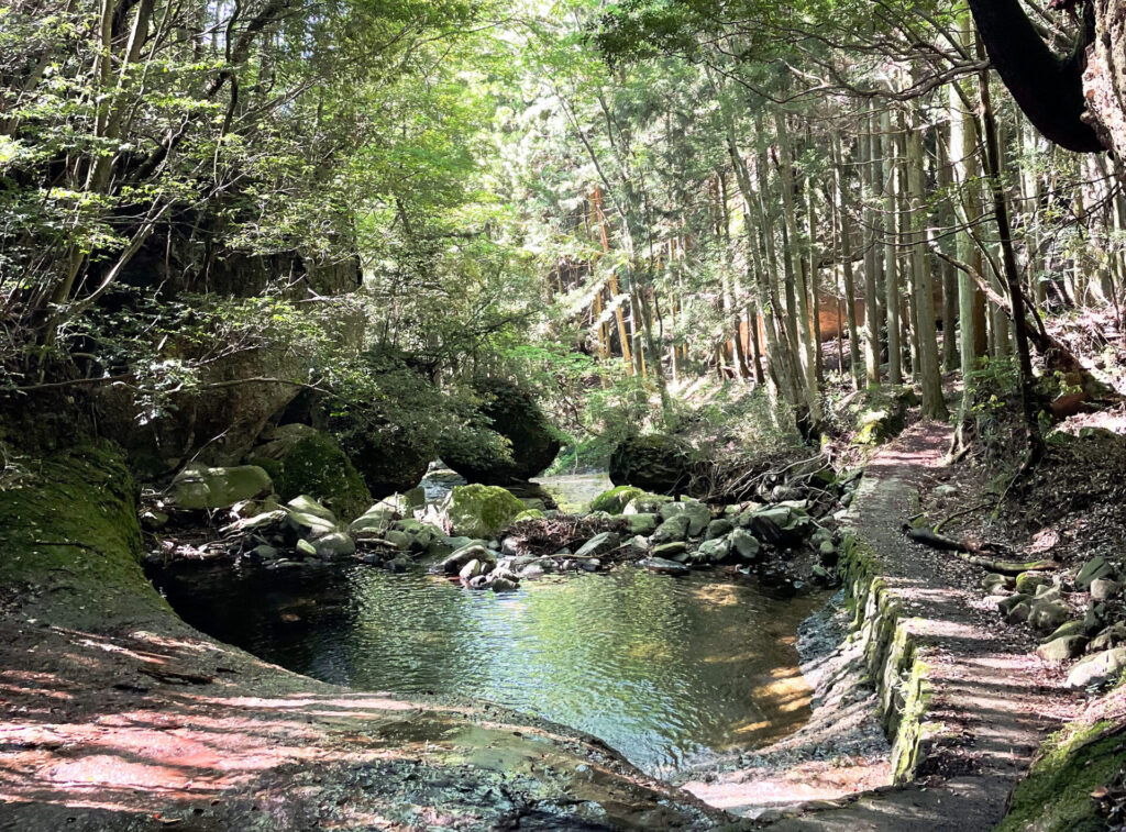 2023年の夏はここ！東温市の「滑川渓谷」で、緑豊かな自然を体感しよう！